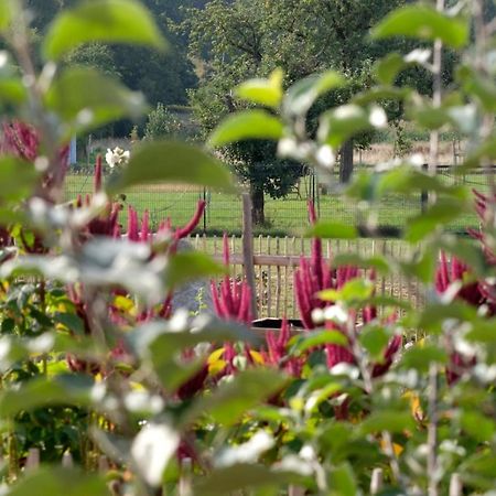Ferienwohnung Mohnblume Pulzig Exteriör bild