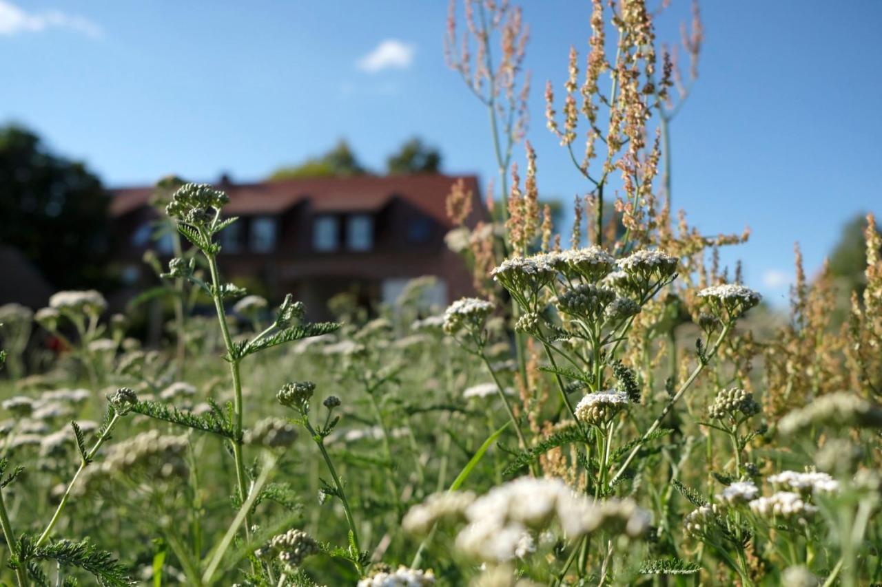 Ferienwohnung Mohnblume Pulzig Exteriör bild