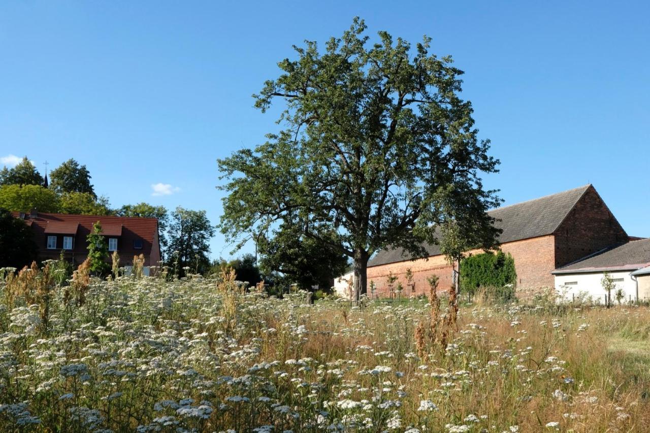 Ferienwohnung Mohnblume Pulzig Exteriör bild