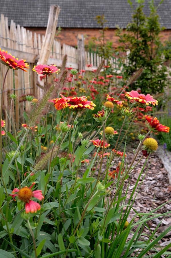 Ferienwohnung Mohnblume Pulzig Exteriör bild