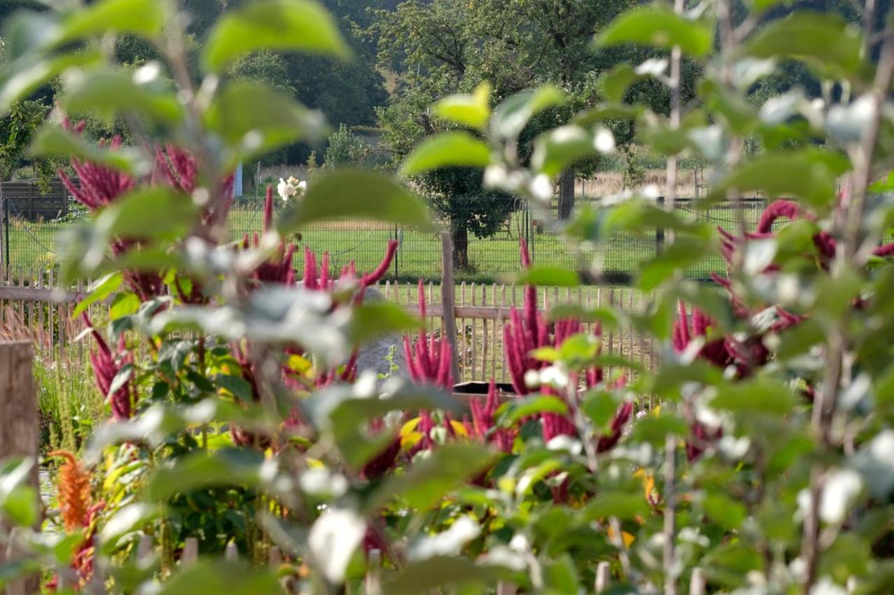Ferienwohnung Mohnblume Pulzig Exteriör bild